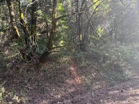 16272 Highway 26, Glencoe, CA 95232 photo 17
