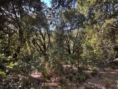 16272 Highway 26, Glencoe, CA 95232 photo 25