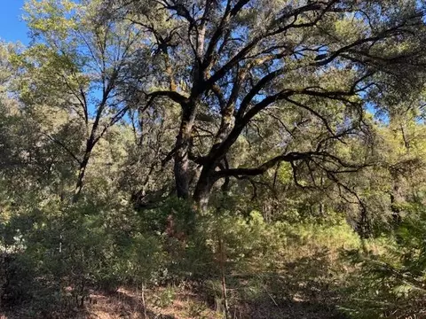 16272 Highway 26, Glencoe, CA 95232 photo 22