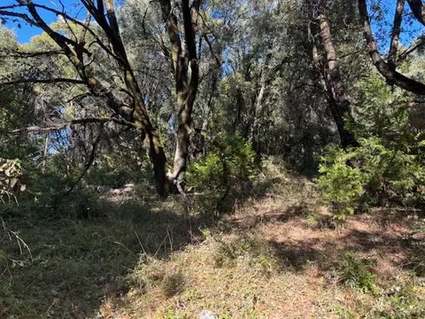16272 Highway 26, Glencoe, CA 95232 photo 21