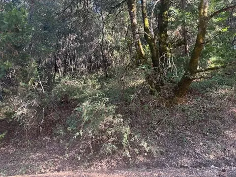 16272 Highway 26, Glencoe, CA 95232 photo 16