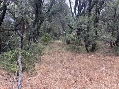 16272 Highway 26, Glencoe, CA 95232 photo 3