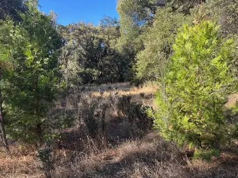 16272 Highway 26, Glencoe, CA 95232 photo 27