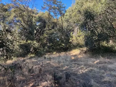 16272 Highway 26, Glencoe, CA 95232 photo 28