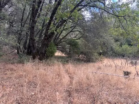 16272 Highway 26, Glencoe, CA 95232 photo 4