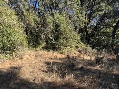 16272 Highway 26, Glencoe, CA 95232 photo 29