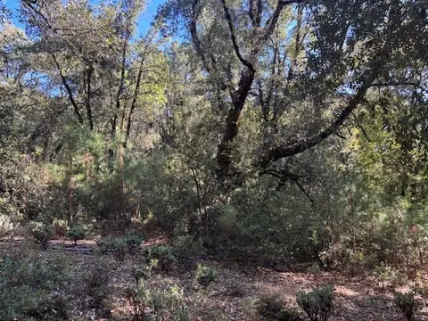 16272 Highway 26, Glencoe, CA 95232 photo 26
