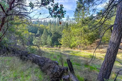 26355 Barb Wire Ln, Colfax, CA 95713