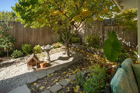 730 Berry Patch Ct, Gridley, CA 95948 photo 41