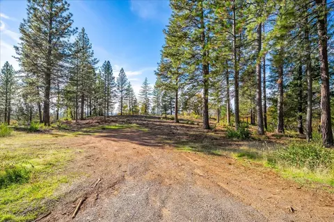 6533 Shoo Fly Rd, Placerville, CA 95667 photo 5