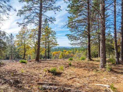 6533 Shoo Fly Rd, Placerville, CA 95667 photo 8