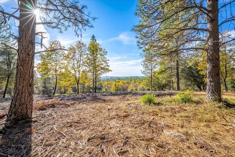 6533 Shoo Fly Rd, Placerville, CA 95667 photo 2