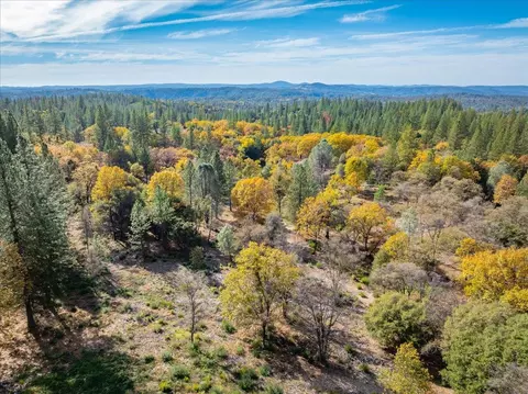 6533 Shoo Fly Rd, Placerville, CA 95667 photo 13