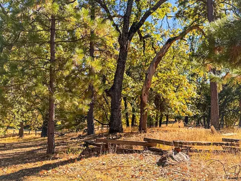 3034 Bald Mountain Rd, West Point, CA 95255 photo 4