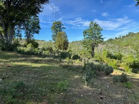 3745 Paramae Rd, Rail Road Flat, CA 95248 photo 76