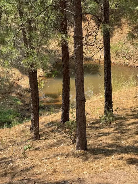430 Hillside Dr, Applegate, CA 95703 photo 50