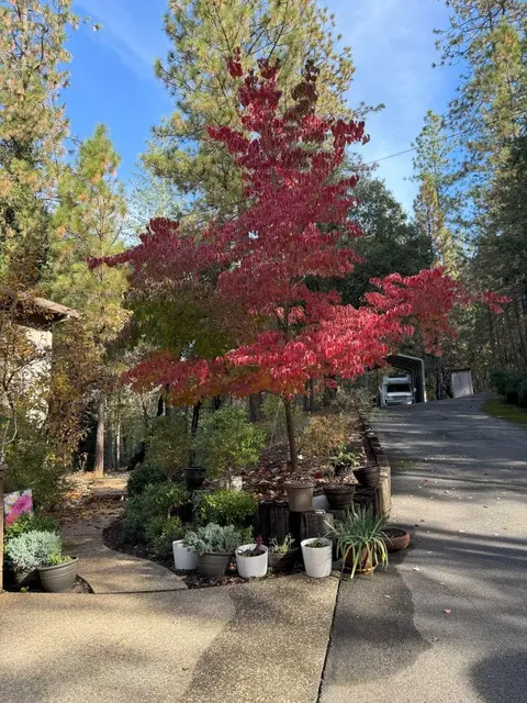 430 Hillside Dr, Applegate, CA 95703 photo 7
