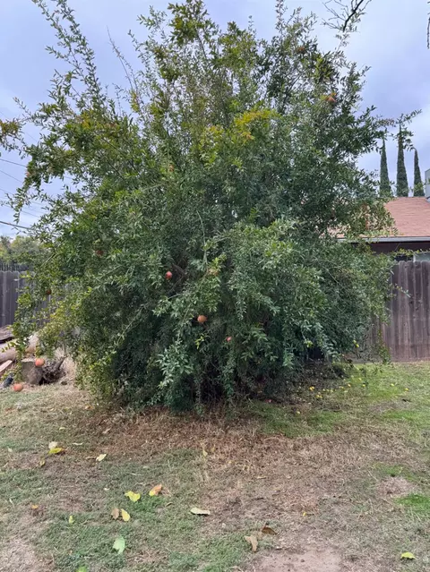 101 Pine St, Modesto, CA 95351 photo 19