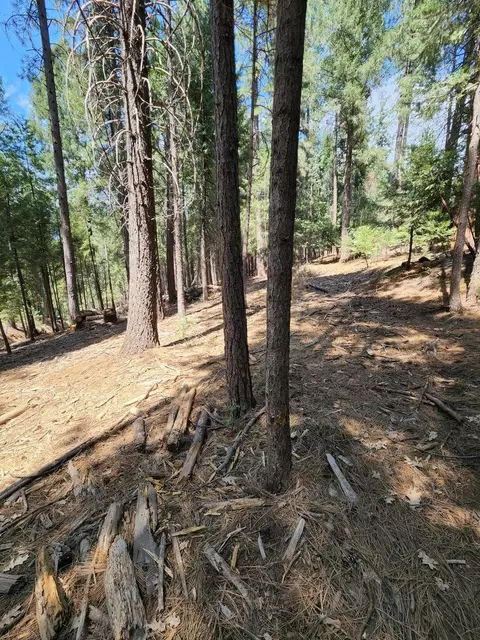 0 Juarez Rd, Pollock Pines, CA 95726
