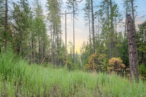 10376 Smith Rd, Grass Valley, CA 95949 photo 19