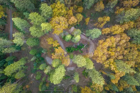 10376 Smith Rd, Grass Valley, CA 95949 photo 36