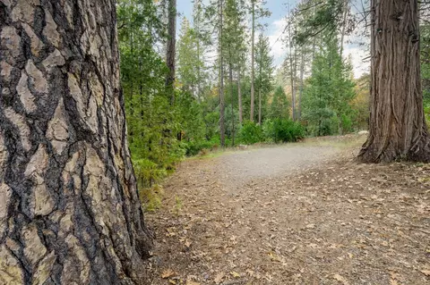 10376 Smith Rd, Grass Valley, CA 95949 photo 23