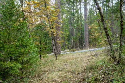 10376 Smith Rd, Grass Valley, CA 95949 photo 27