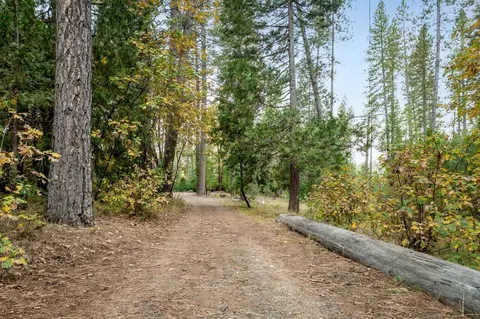 10376 Smith Rd, Grass Valley, CA 95949 photo 3
