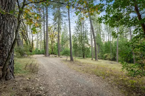 10376 Smith Rd, Grass Valley, CA 95949 photo 4