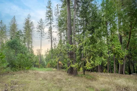10376 Smith Rd, Grass Valley, CA 95949 photo 5
