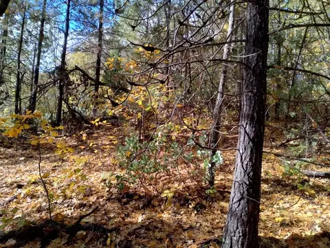 15814 Auburn Rd, Grass Valley, CA 95949 photo 9