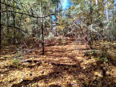 15814 Auburn Rd, Grass Valley, CA 95949 photo 10