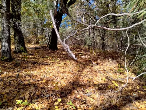 15814 Auburn Rd, Grass Valley, CA 95949 photo 6