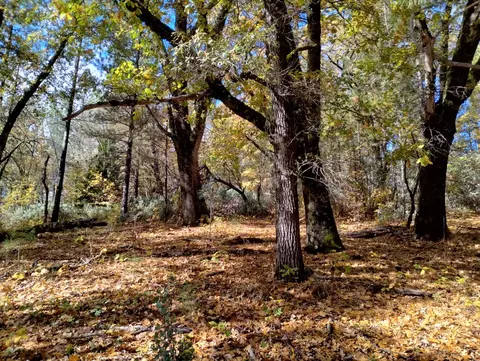 15814 Auburn Rd, Grass Valley, CA 95949 photo 5