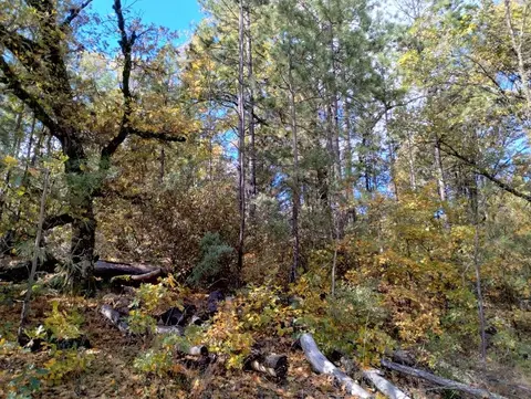 15814 Auburn Rd, Grass Valley, CA 95949 photo 17