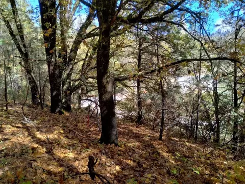 15814 Auburn Rd, Grass Valley, CA 95949 photo 11
