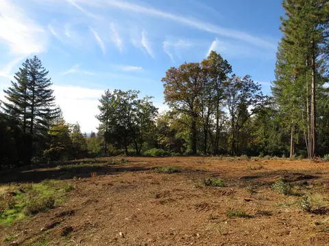 0 Steamers Ravine Rd, Colfax, CA 95713