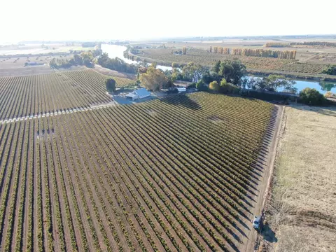 15461 Isleton Rd, Isleton, CA 95641 photo 3