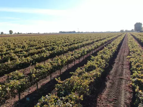 15461 Isleton Rd, Isleton, CA 95641 photo 8