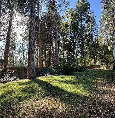 6868 Ridgeway Dr, Pollock Pines, CA 95726 photo 30