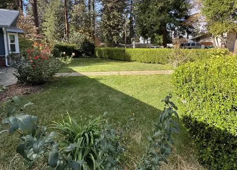 6868 Ridgeway Dr, Pollock Pines, CA 95726 photo 6