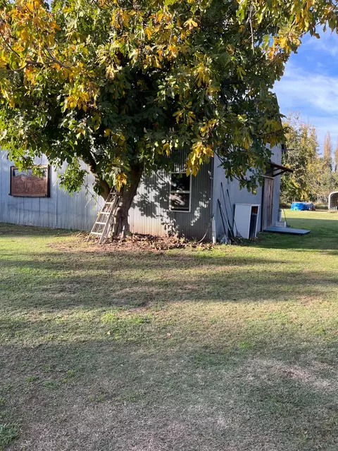 Exterior - 177 Higgins Ave, Gridley, CA 95948 photo 14 of 24
