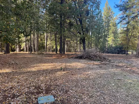 6364 Green Leaf Ln, Foresthill, CA 95631