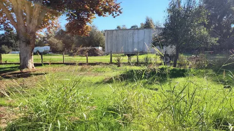 Exterior - 499 Leven St, Grimes, CA 95950 photo 15 of 17