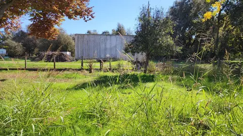 Other - 499 Leven St, Grimes, CA 95950 photo 10 of 10