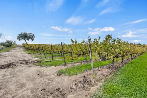 19301 Clements Rd, Lodi, CA 95240 photo 21