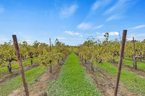 19301 Clements Rd, Lodi, CA 95240 photo 22