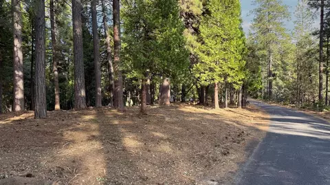 19045 Pine Dr, Pioneer, CA 95666 photo 2