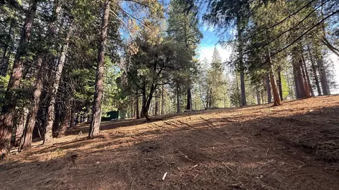 19045 Pine Dr, Pioneer, CA 95666 photo 6
