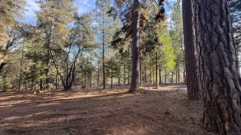 19045 Pine Dr, Pioneer, CA 95666 photo 1